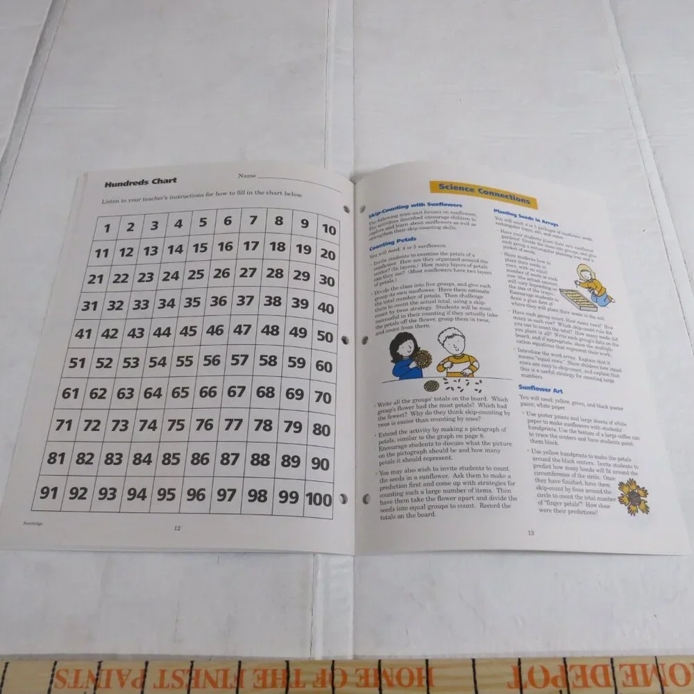 Skip Counting BIG BOOK (almost 2 feet tall) with teacher pages CLASSROOM SIZE